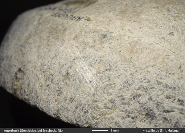 , Surface of an erratic of anothosite