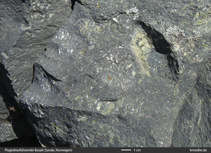 Basalt mit Plagioklas-Einsprenglingen