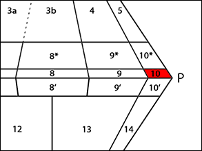 QAPF-Diagramm