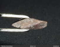 Rhombenporphyr