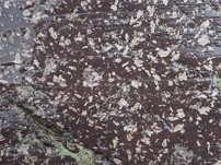 Rhombenporphyr