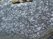 Rhombenporphyr