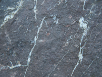 Rhombenporphyr