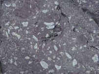 Rhombenporphyr