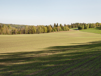 Rhombenporphyr