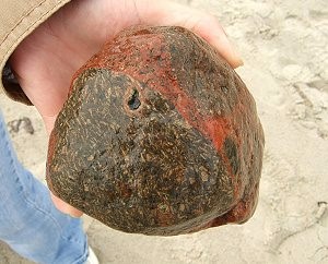 Digerberg-Geschiebe auf Fehmarn