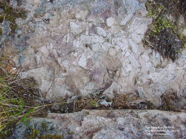anstehendes Digerberg-Konglomerat