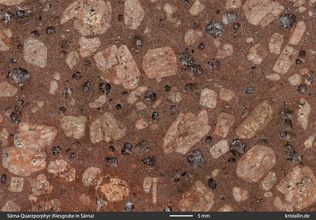 Schnittbild mit viel Quarz und eigengestaltigen Feldspäten