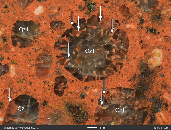 Magmatic corrosion of quartz in rapakivi