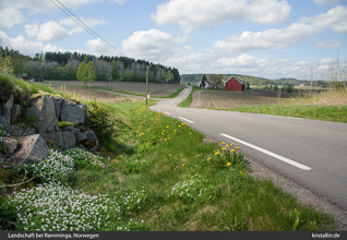 Landschaft