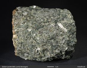 Grüner Larvikit