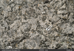 Lardalit mit Nephelin