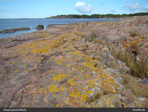 Die Insel Skogs&ouml; grund