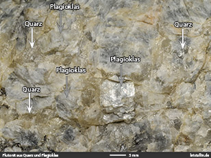 Beispielgestein 4 - Viel Plagioklas, kein Quarz, kein Alkalifeldspat