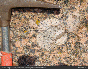 Bild aus dem Originalvorkommen