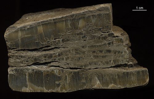 Faserkalk mit Sedimentresten