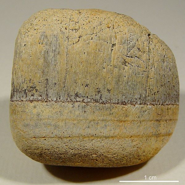 Faserkalk aus dem Geschiebe