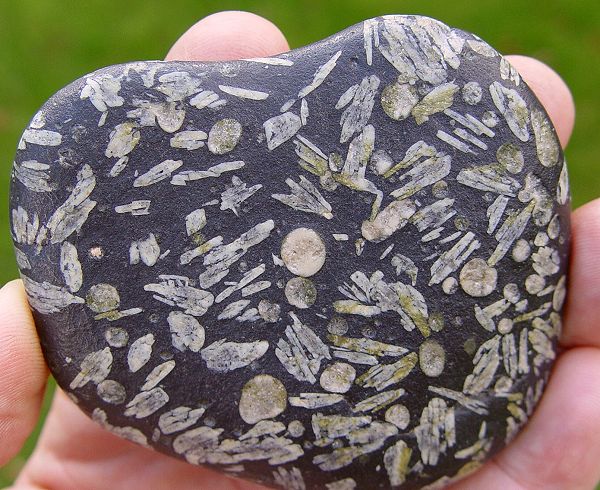 Oslobasalt als Mandelstein