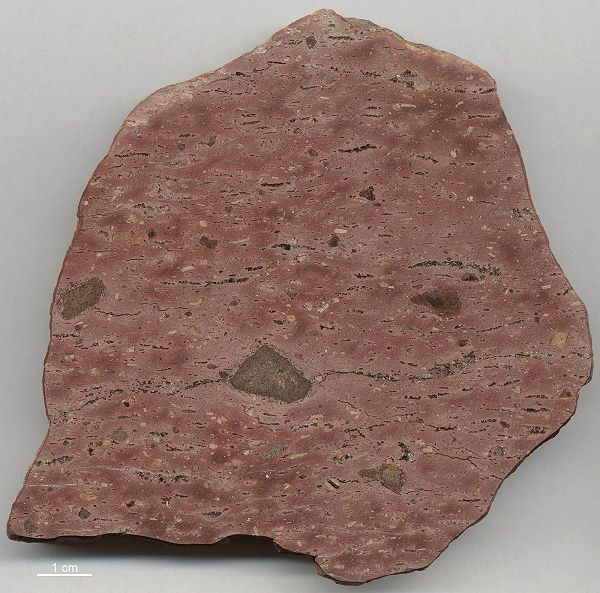 Ignimbrit mit eutaxitischem Gef�ge