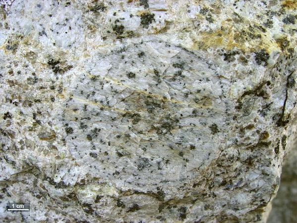 Ovoid, etwa 8 cm Durchmesser